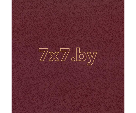 Baghera Oniro Baghera Oniro col.13